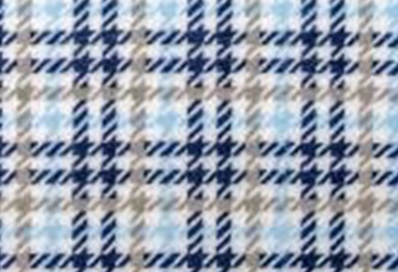 Baby Blue Houndstooth*