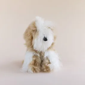 Toy Dog - Suri - Small