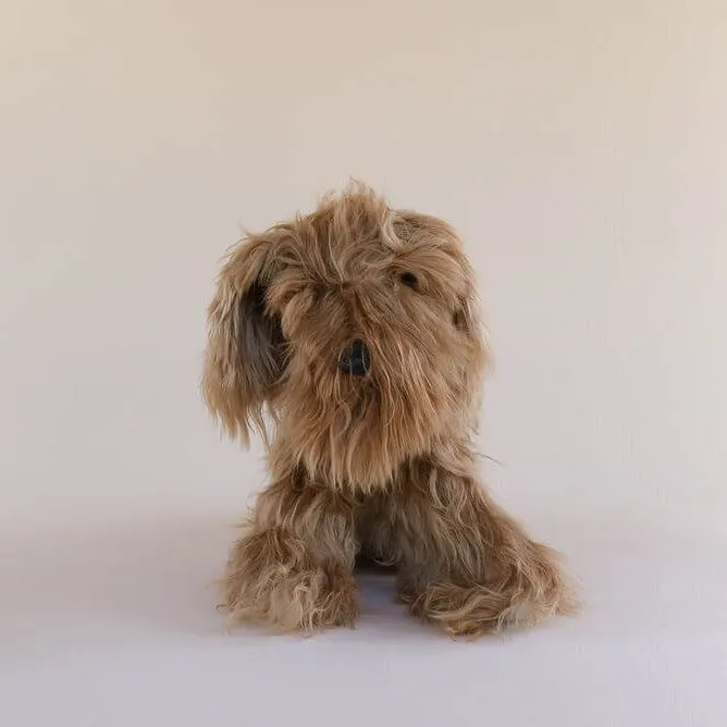 Toy Dog - Suri - Small